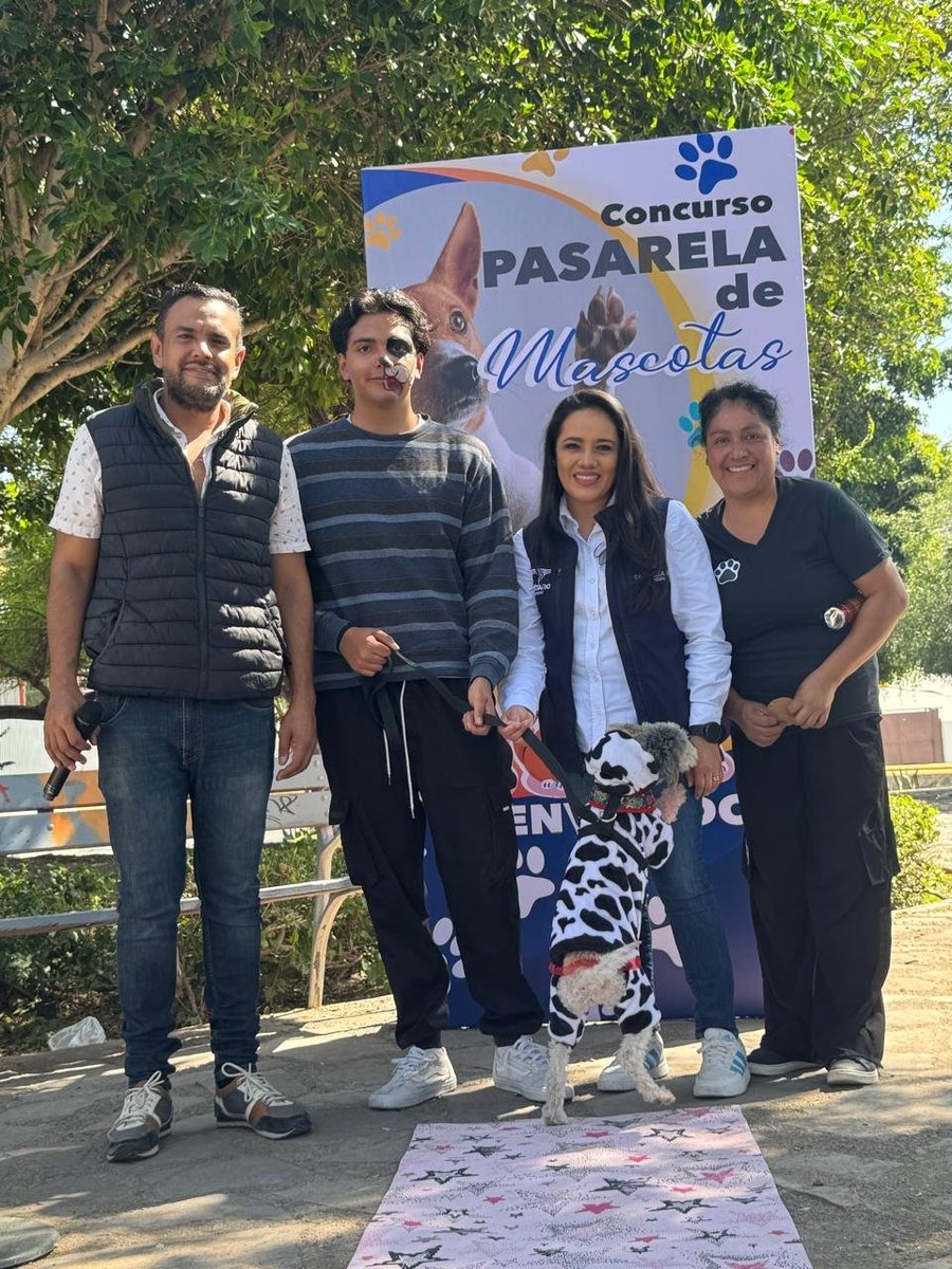 LisSalasQro's tweet photo. PASARELA DE MASCOTAS !!
Impulsando acciones enfocadas en la protección animal desde la concientización y cuidado para su bienestar. #municipiodequeretaro #animales #perritos #caninos #mininos #mascotas #vecinos #concurso #Queretaro #Qro #convivencia #vacunas https://t.co/dFRJN28uq5
