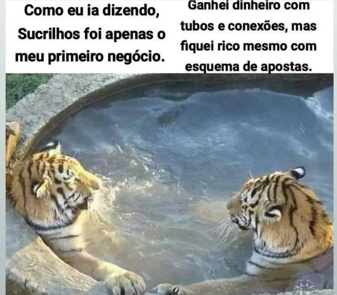 memes pra quem tem o humor quebrado (@humorqbrado) on Twitter photo 