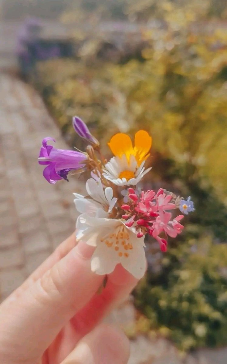 قَدْ يُخْلَقُ مِنْ الشَّبَهِ أَرْبَعِينَ، لَكِنَّ القُلُوبَ لَا أَرْبَعِينَ لَهَا❤️
#صباح_الخير_والسعاده_للجميع