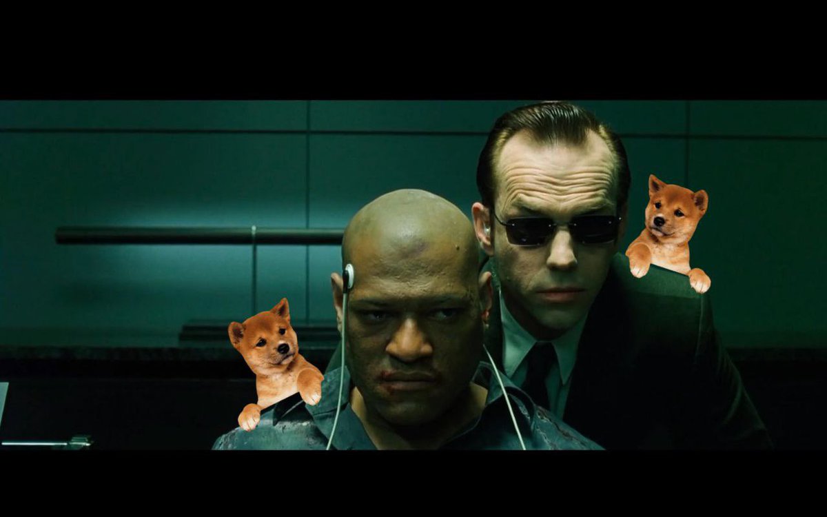 updogtoken's tweet photo. @JakeGagain Exactly right, our one chance to go against the matrix and wake Updog 💪 https://t.co/qFXj8iKRUx