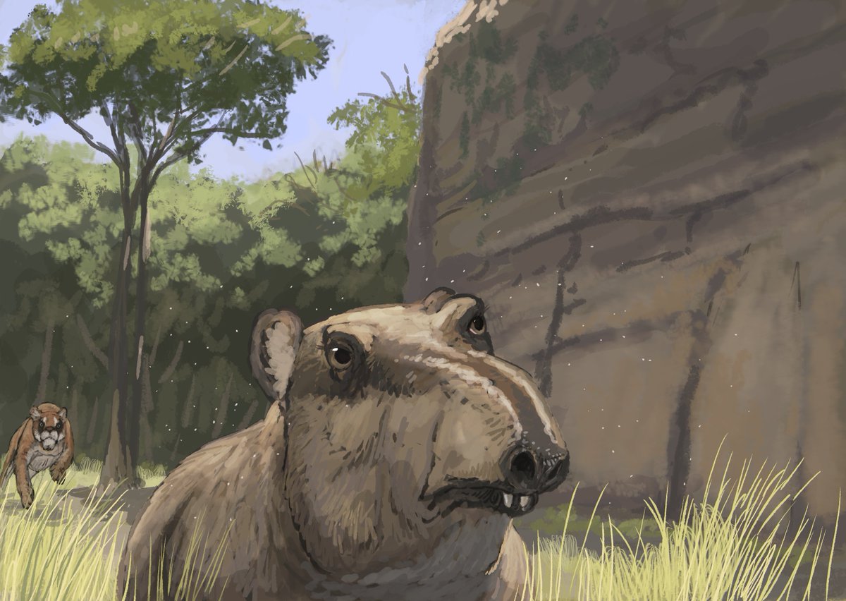 Joschua Knüppe tweet media