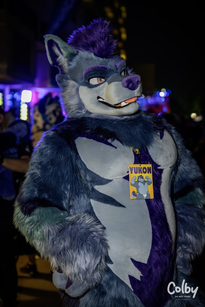 I’ve been at PAWCon this weekend having a great time!
📸: <a href="/colby_husky/">Colby! - colby.dog</a>