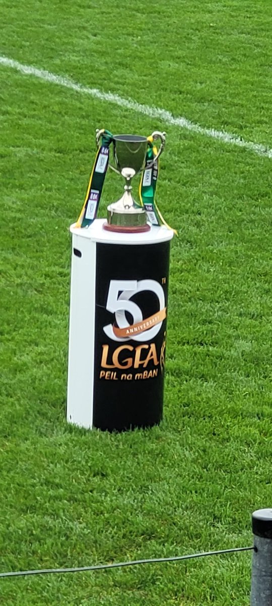 Leinster Champions 💚💛