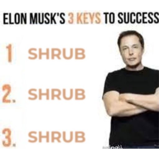 <a href="/elonmusk/">Elon Musk</a> It's all gonna be me now!