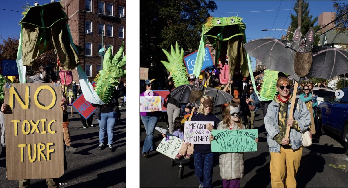 Save The Meadows - FDR Park, Philadelphia tweet media