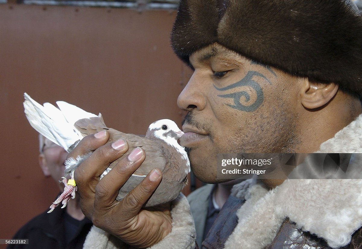 JakePaulMikeTyson tweet media