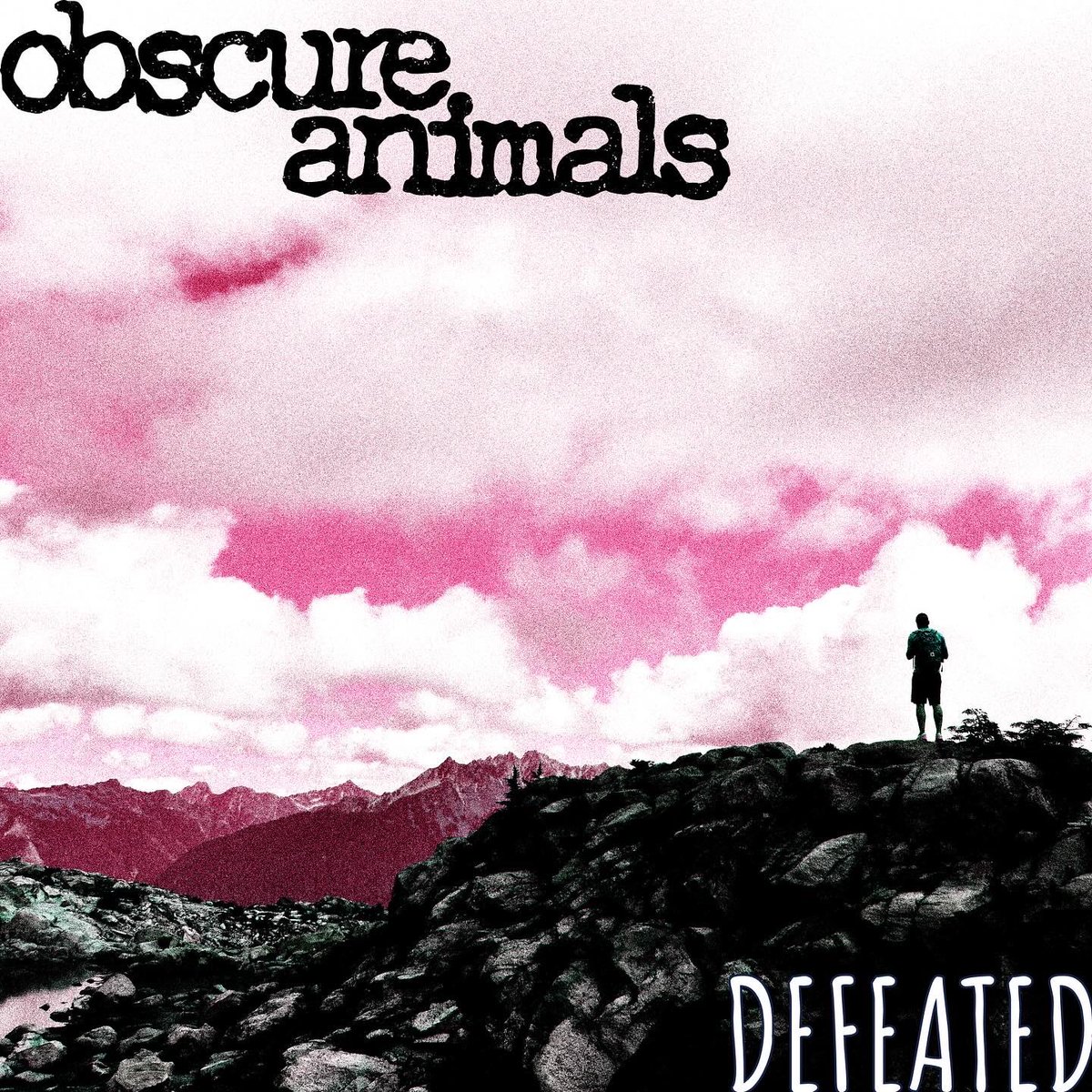 Obscure_animals's tweet image. Vote for Defeated for best ATX ROCK single of 2024! #atxrock #bestof2024 

docs.google.com/forms/d/e/1FAI…