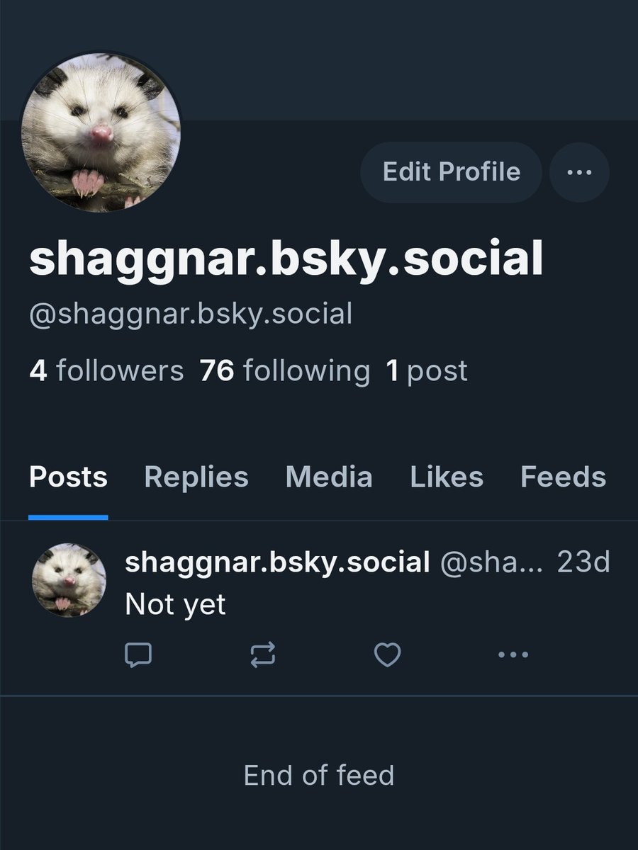 Shaggnar tweet media