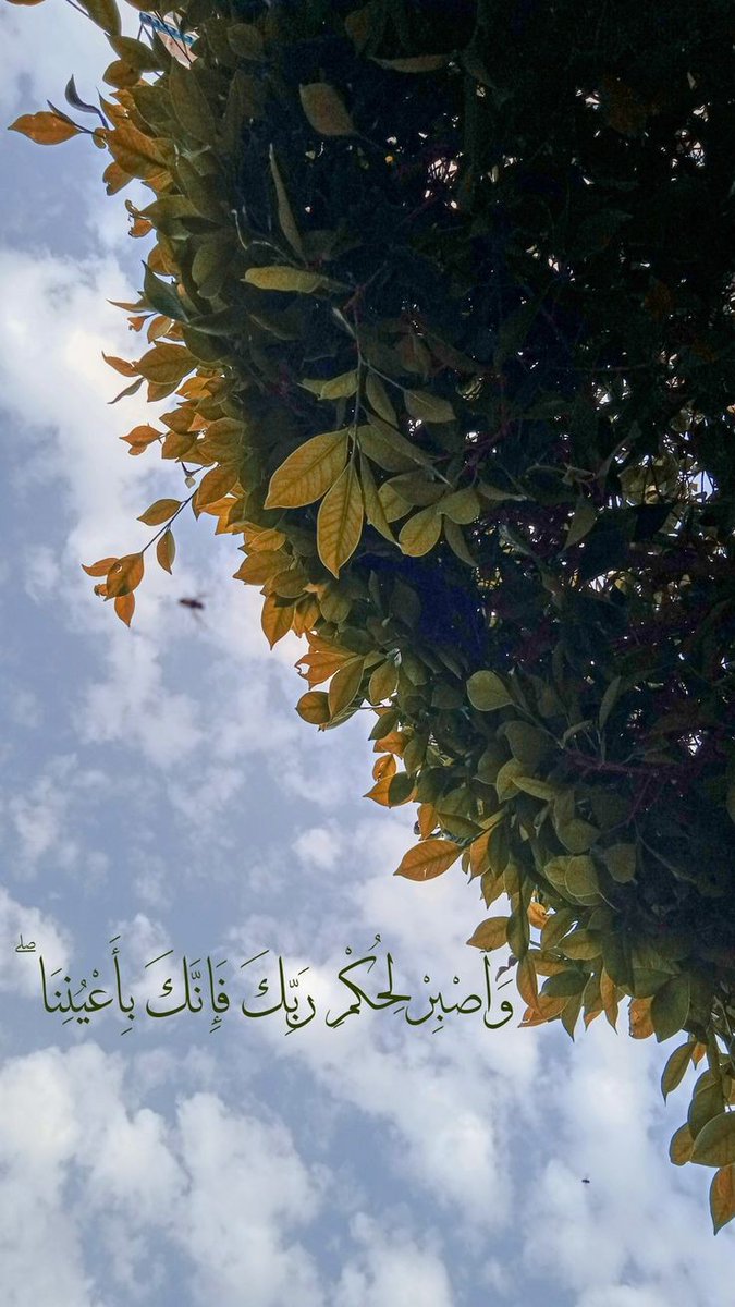 anaaktb1's tweet photo. رسالة لك🤍 https://t.co/C4mrwsKFS7