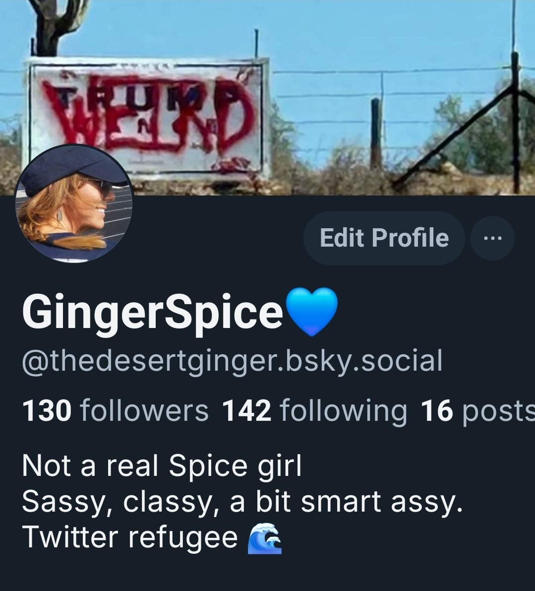 GingerSpice❄️💙 tweet media