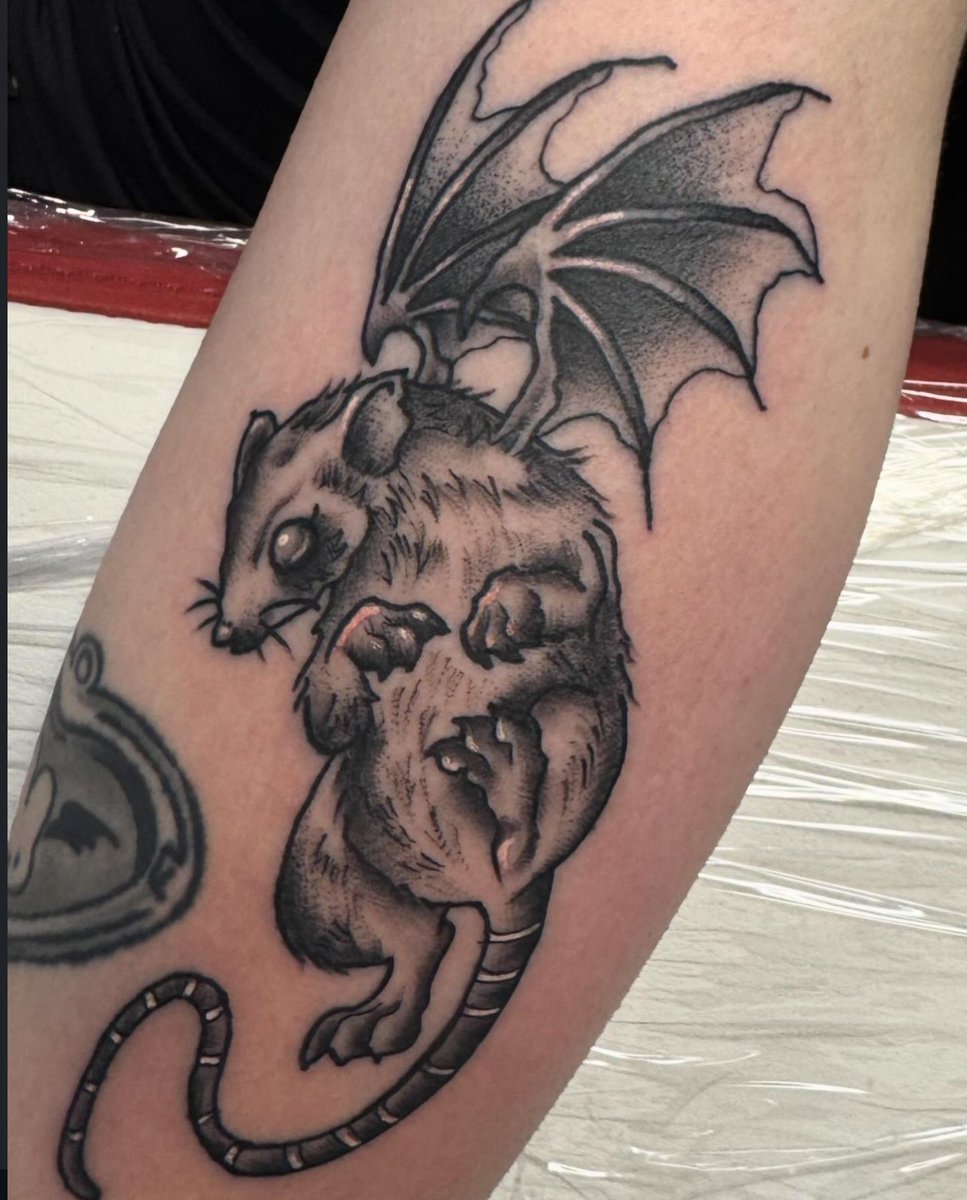 alice 🦇 tweet media