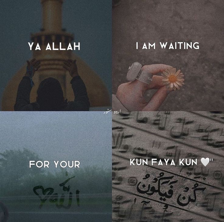 Al__Quraan's tweet photo. “Ya Allah I'm waiting for your KUN FAYA KUN” https://t.co/dMJdIIH5cP