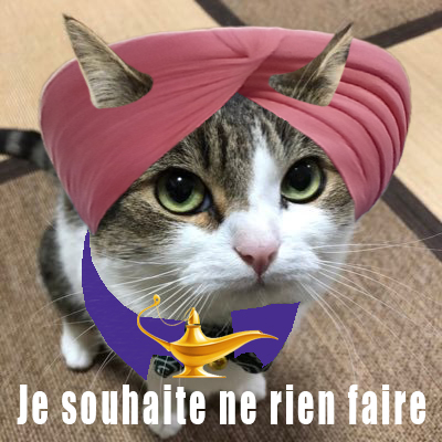 Calmar 🐙 tweet media