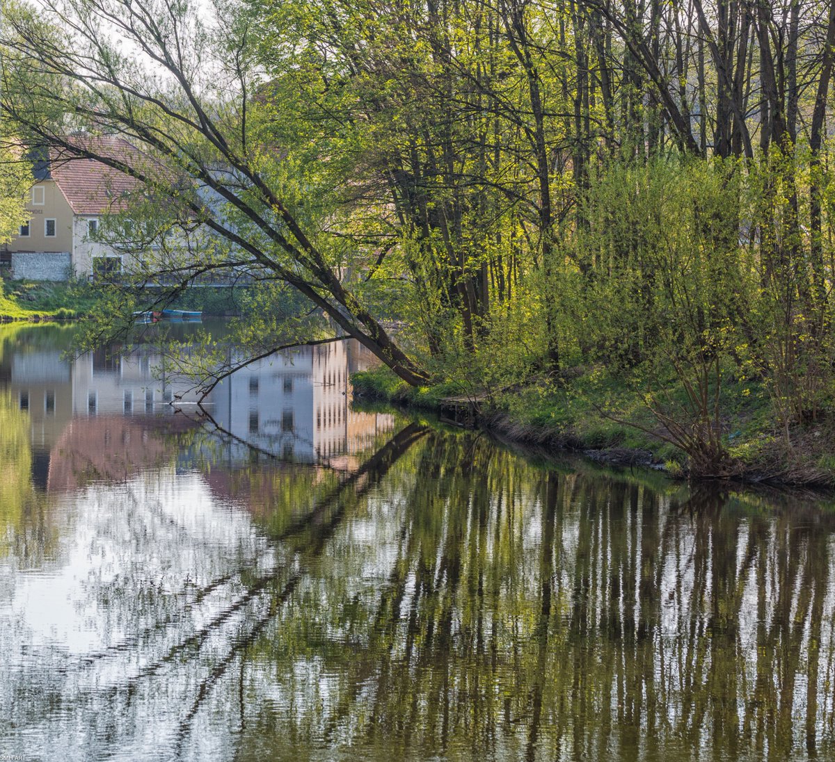 Havenlust's tweet image. Quiet reflections on a peaceful morning. Nature’s mirror, reminding us to pause and find beauty in the stillness. 🍃✨ #NatureReflections #PeacefulMoments