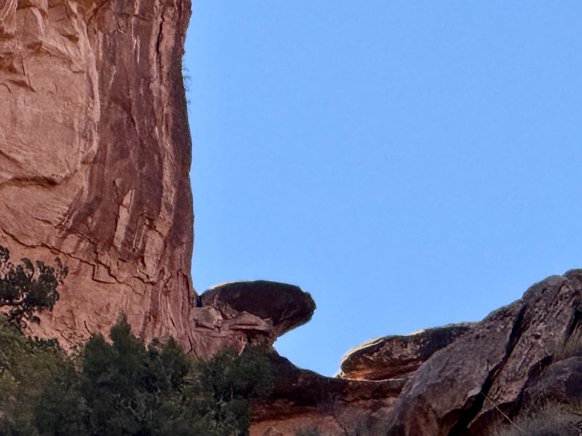 The Enterprise is following us on today’s hike.