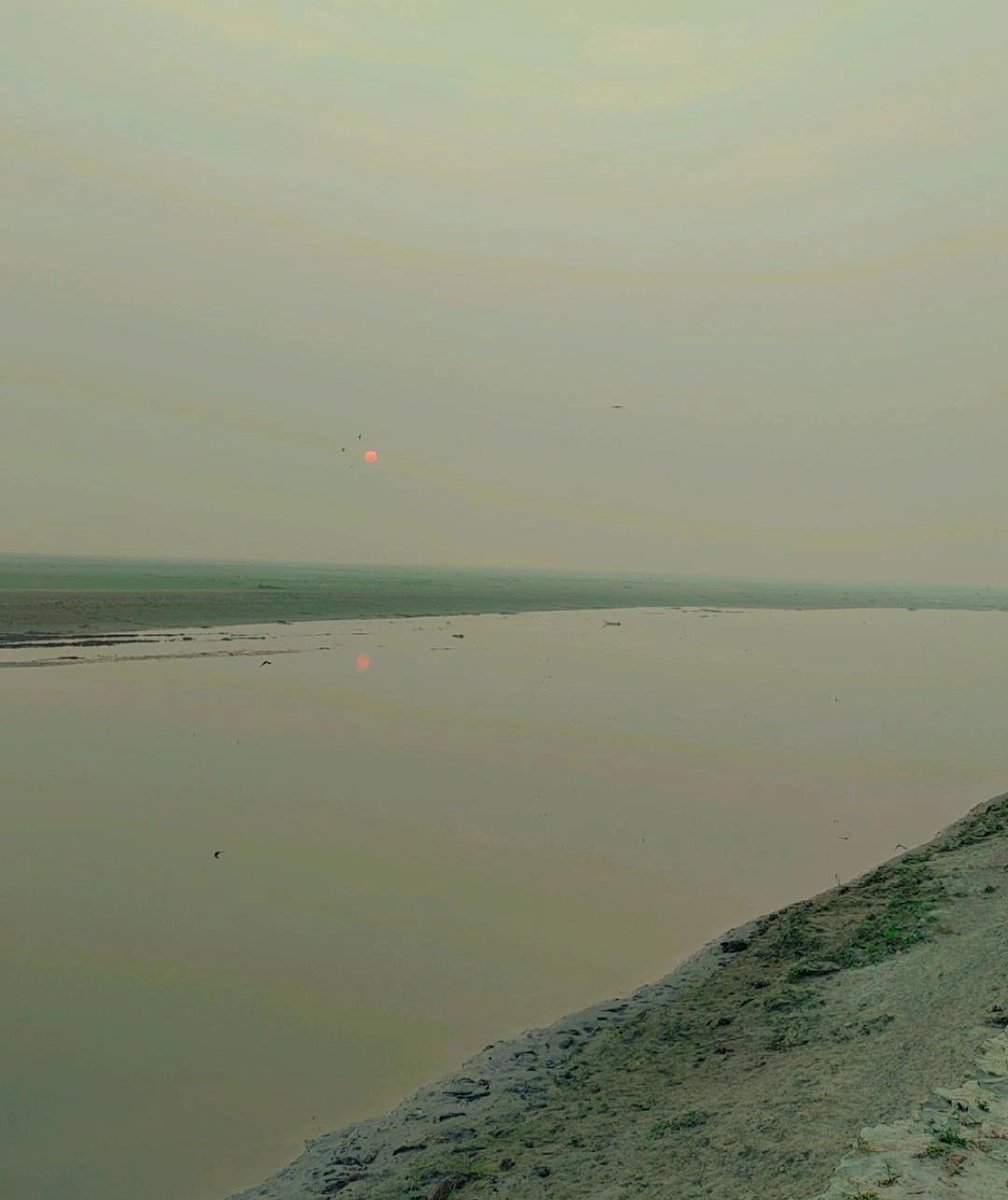 Krishna Singh tweet media