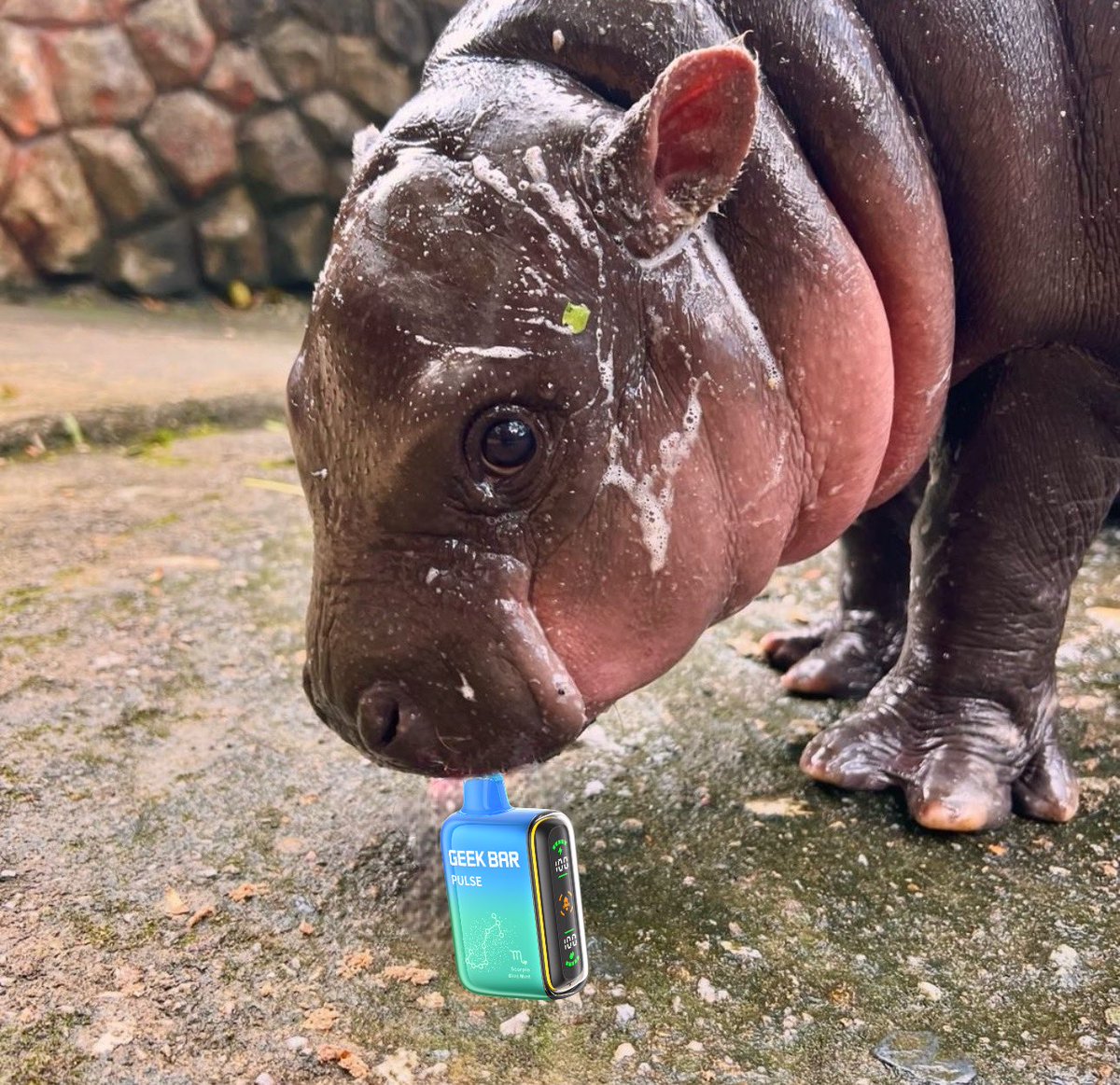 they    grow up  so  fast