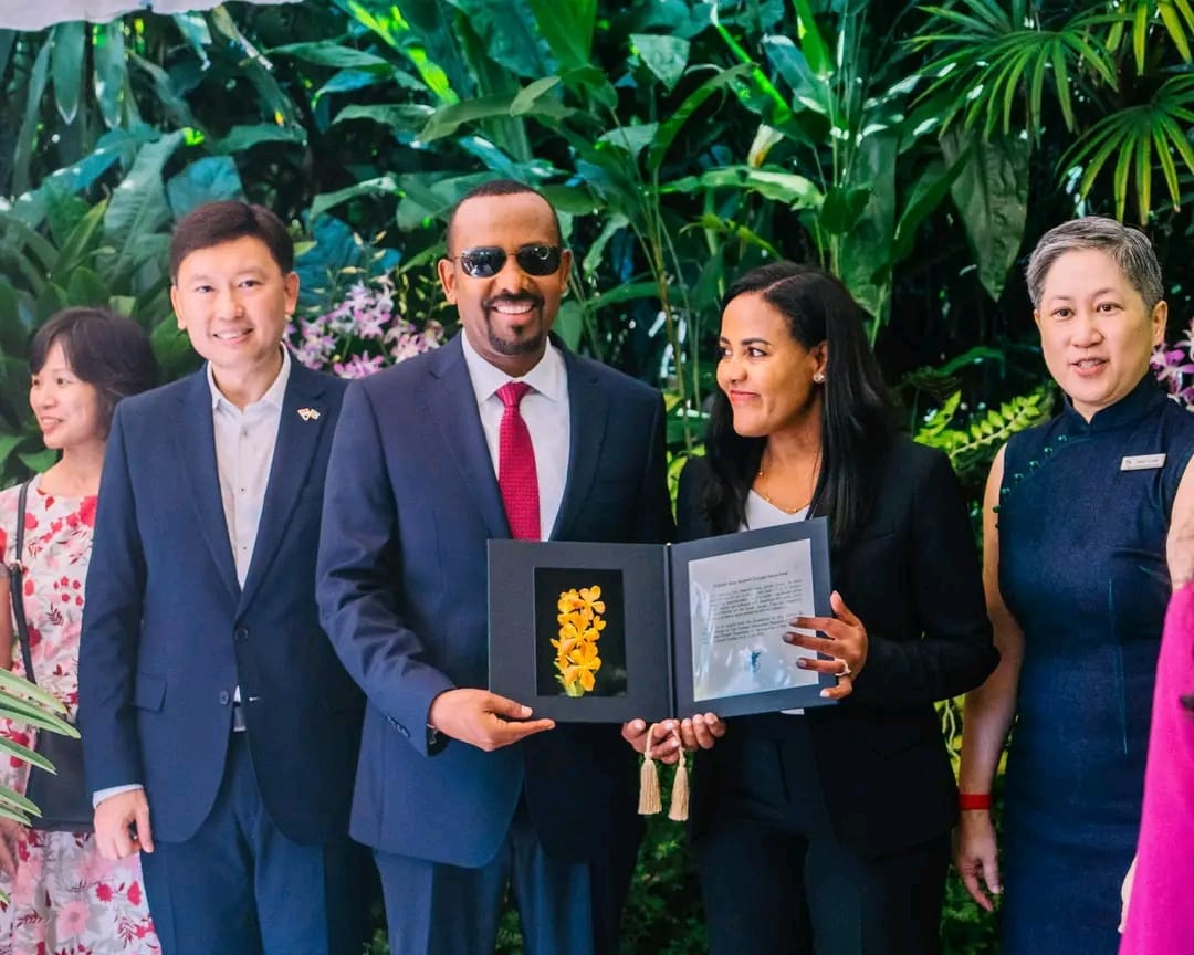 BehiwotTilahun's tweet image. Dr. Abiy Ahmed&apos;s diplomatic efforts are not just reshaping Ethiopia but also transforming the Horn of Africa. His leadership style is a testament to the power of dialogue and collaboration! #Ethiopia🇪🇹
🌐 #PeaceBuilder #AbiyAhmed