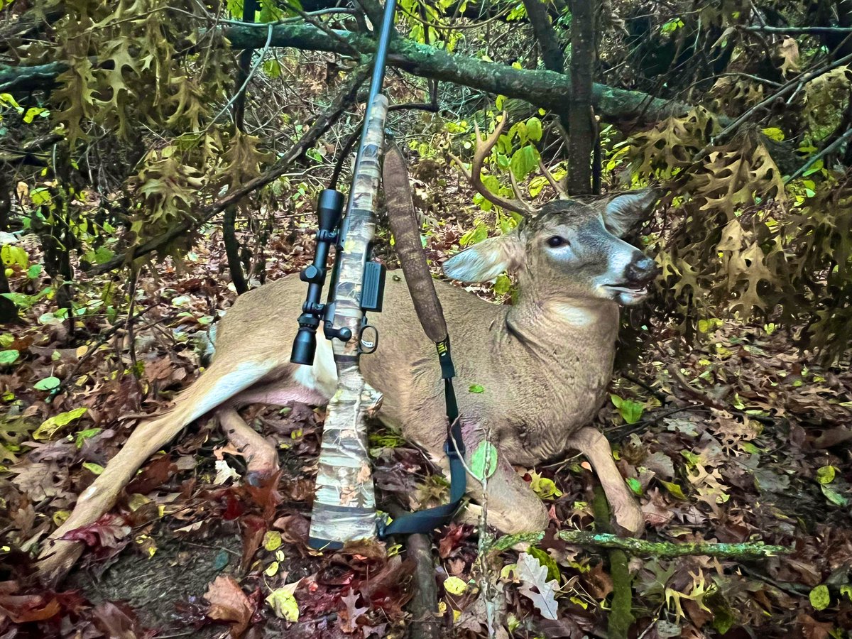 aerroTpalm's tweet photo. It was a great #MNDeer opener! @SavageArms https://t.co/RumnMR5hUz