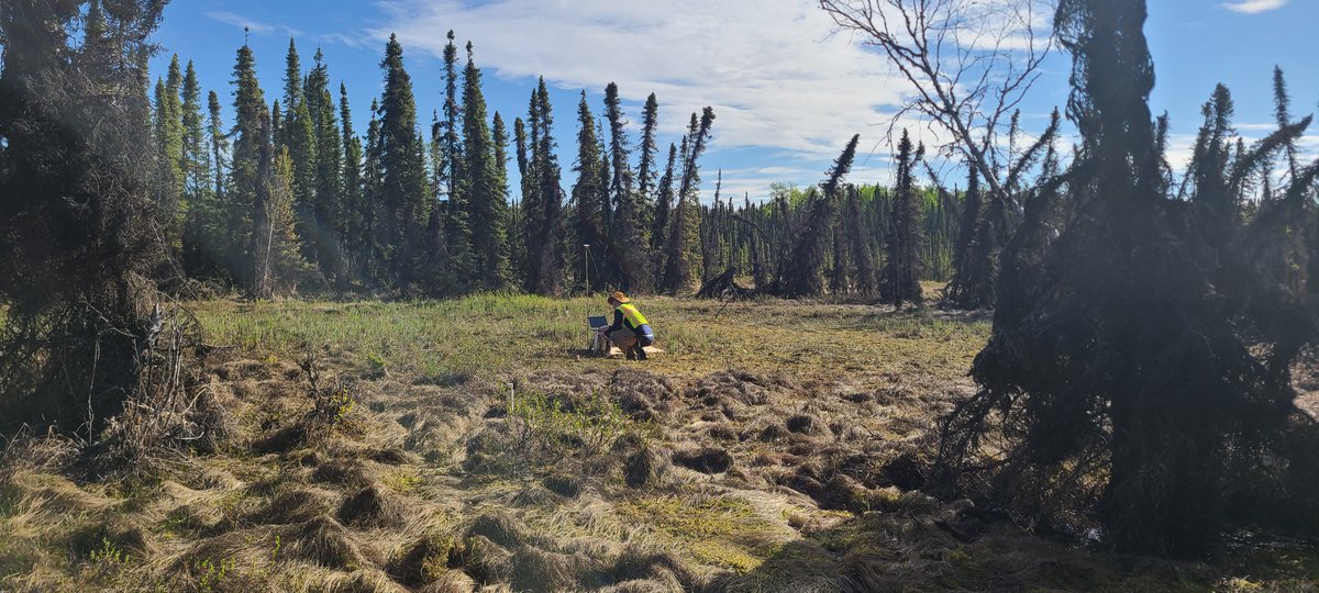 My PhD defense is on Dec. 2 at 11:00 am PST! If you would like a Zoom link to attend remotely, or live near Seattle and would like to participate in person, send me a message!