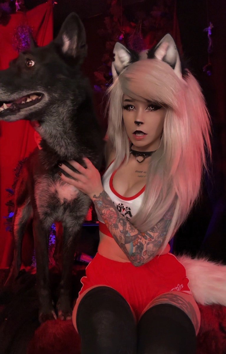 wolfiesantics's tweet photo. She’s back 🐺✨ https://t.co/RsYSbnYvke