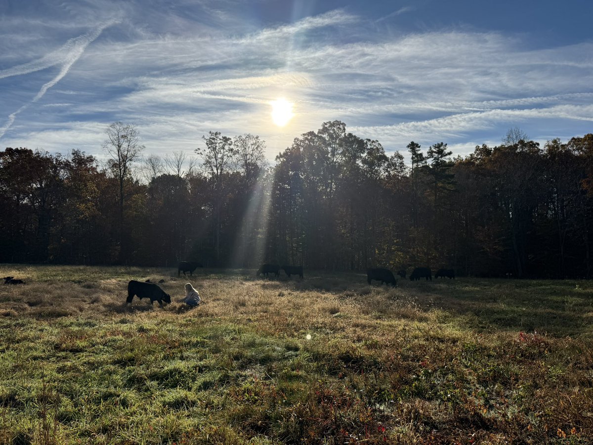 Chelsea Sheppard, MD 🇺🇸✝️ tweet media