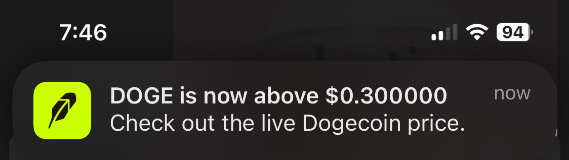 #Doge is .30!