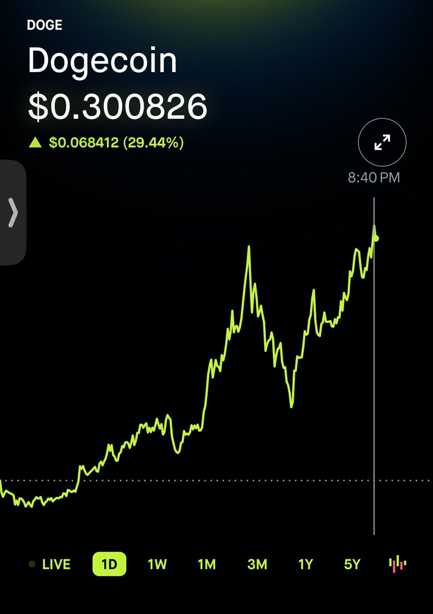.30 #doge we meet again