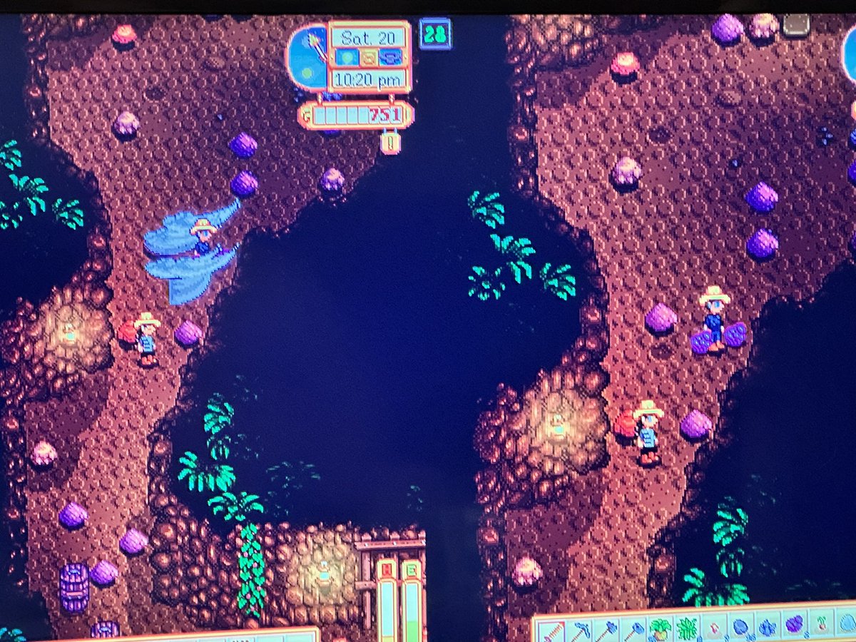Mealford's tweet photo. @ConcernedApe We keep having weird frozen mines floors where we can’t pick anything up and it shows action lines on the screen. This happens once every five or ten floors. We’re doing co-op on switch. https://t.co/APqAGhHNPT
