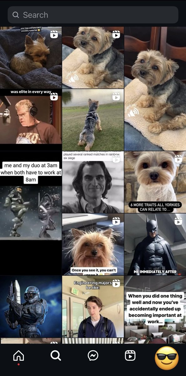 LordOfTheMoonVT's tweet photo. I don’t need a dog, I don’t need a dog, I don’t need a dog…

My instagram: https://t.co/JyBMehFZTT
