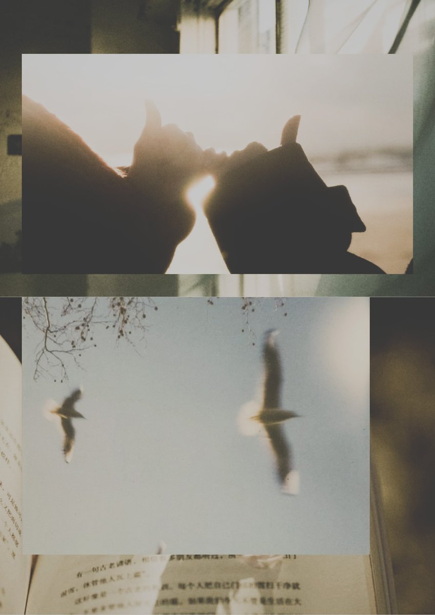 tinymeadow's tweet image. the moments we think are ordinary are often the ones we’ll miss the most when they’re gone.