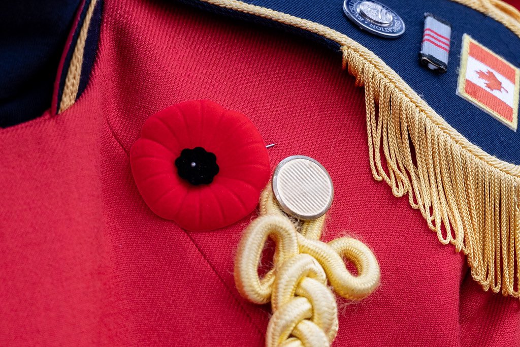 Burl. Teen Tour Band tweet media