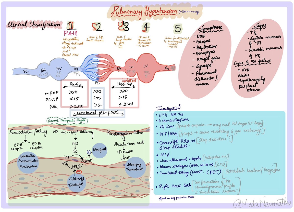 Pulm HTN in a Nutshell!🫀🫁 
Summarizing the take home points from a recent morning report! 
#PulmHTN #CardioEd #CardioTwitter #MedEd