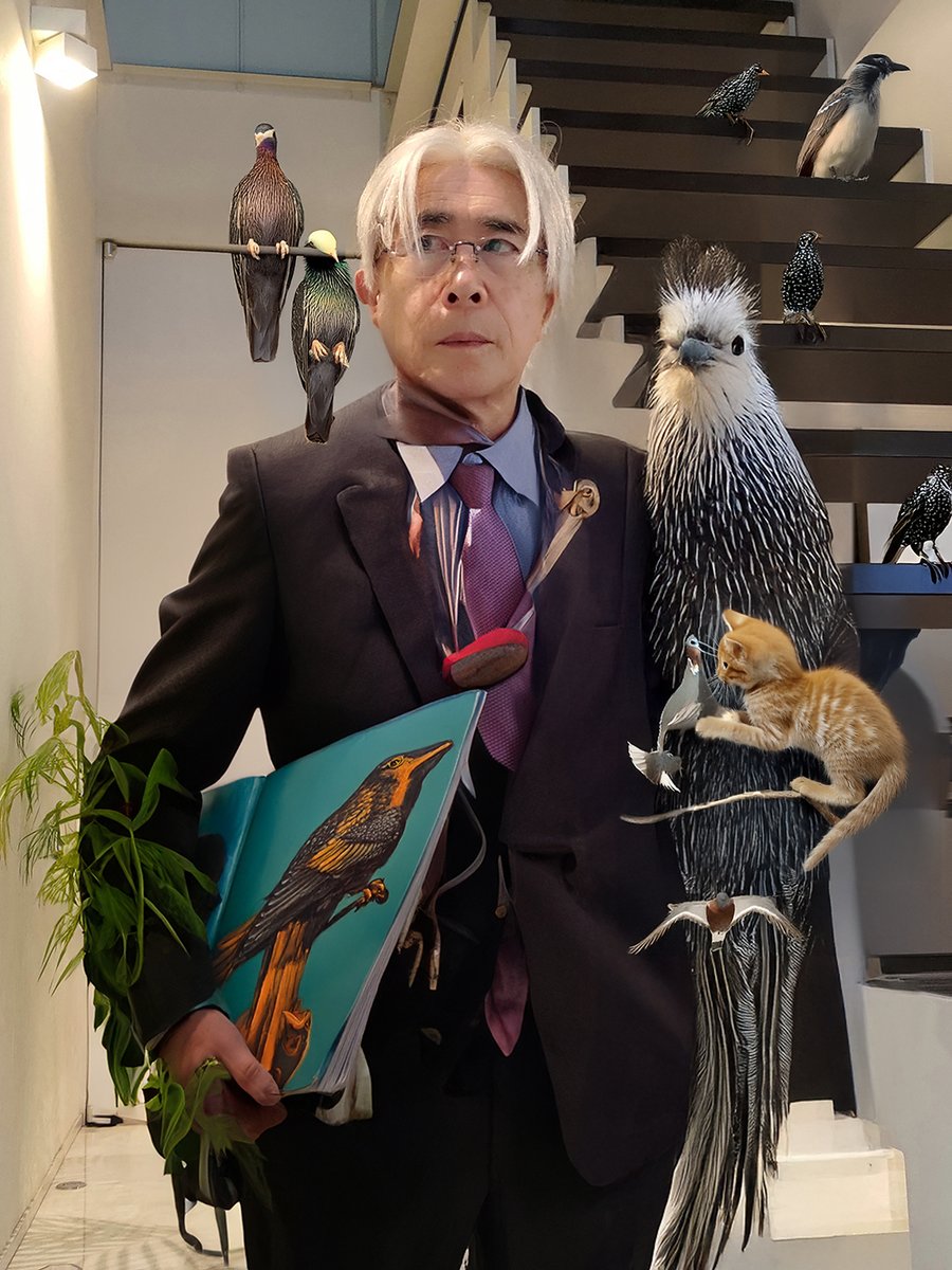 Susumu Hirasawa (@hirasawa) on X