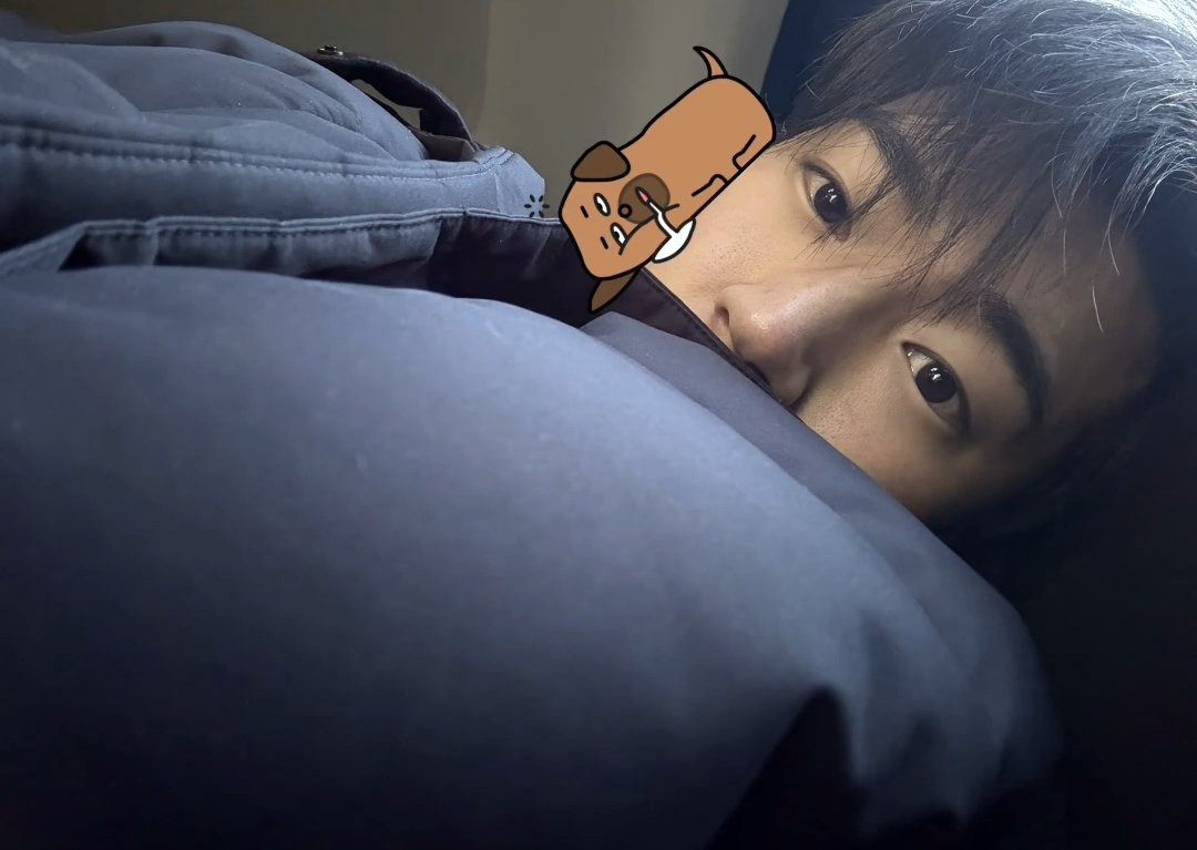 tu_suerte_'s tweet photo. 새벽촬영의 효능: 아기가되
기특해요 강아띠 복복복🥹🫳 https://t.co/GPMUlb3lrM