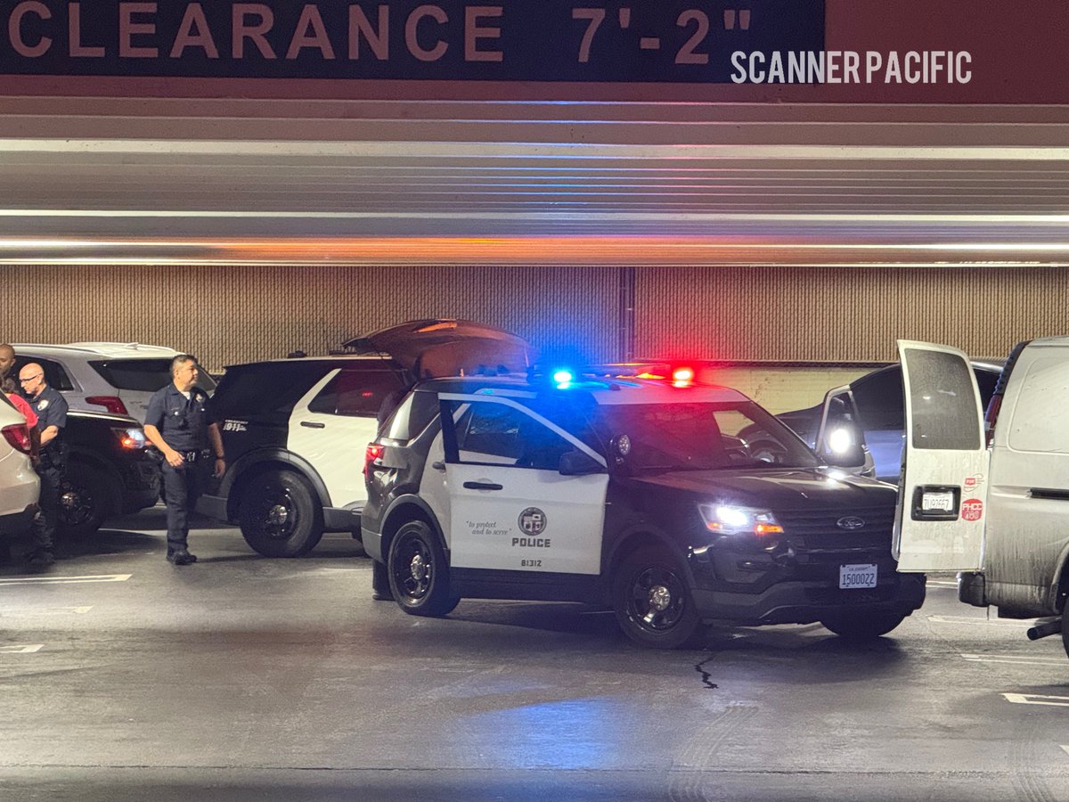 Scanner Pacific (@scannerpacific) on Twitter photo 