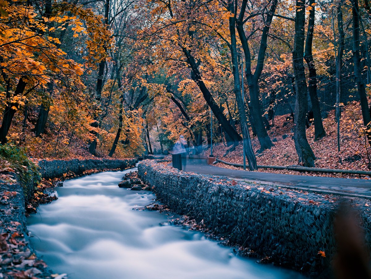 🇰🇿 Pic from my recent hol to Kazakhstan, this is the Health Path, a stream which runs down from the mountains near Almaty. Lovely in Autumn!

📷 ERA-6M 50mm f/1.7, Nikon Z6