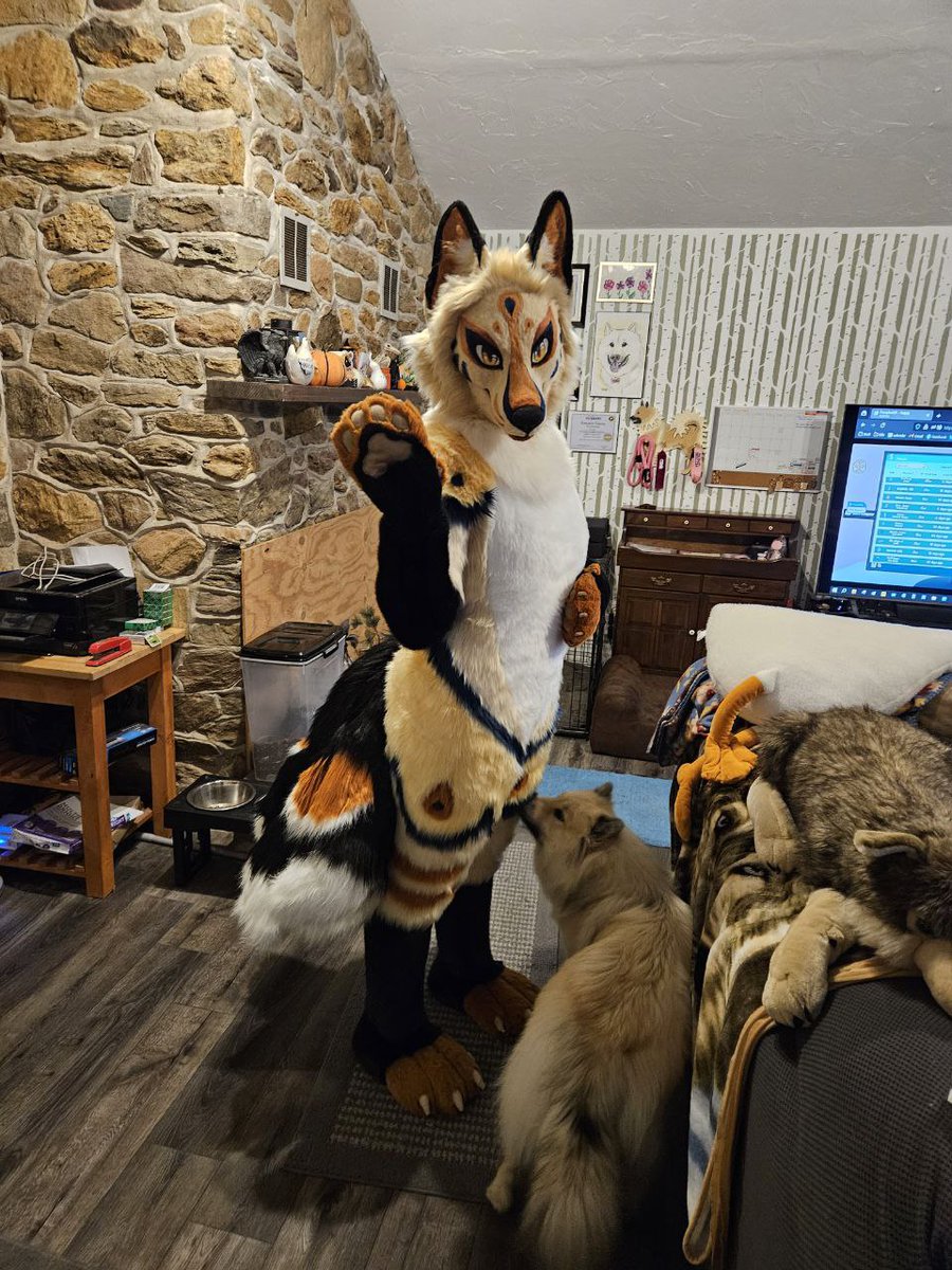 TehAlbi's tweet photo. I cannot thank @Komickrazi enough for all the hard work she put into building Akichō her new body, feet, and tails (18 of them!). She fits like a glove and is as beautiful as I imagined! 💕

And she's puppy approved! https://t.co/nC7E0dE83z