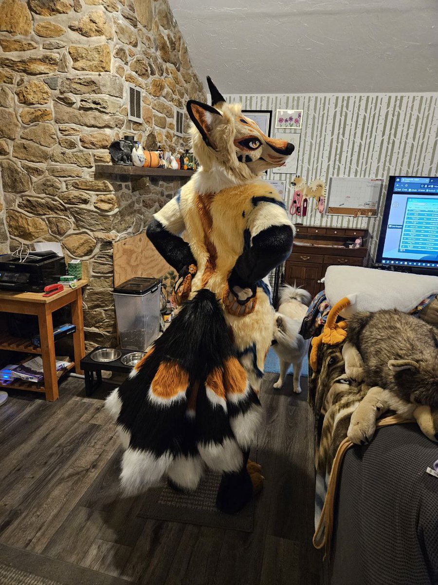 TehAlbi's tweet photo. I cannot thank @Komickrazi enough for all the hard work she put into building Akichō her new body, feet, and tails (18 of them!). She fits like a glove and is as beautiful as I imagined! 💕

And she's puppy approved! https://t.co/nC7E0dE83z