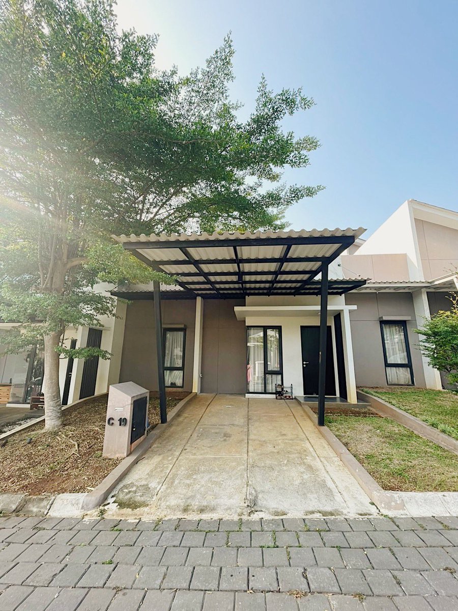 Raufan 🍉 tweet media