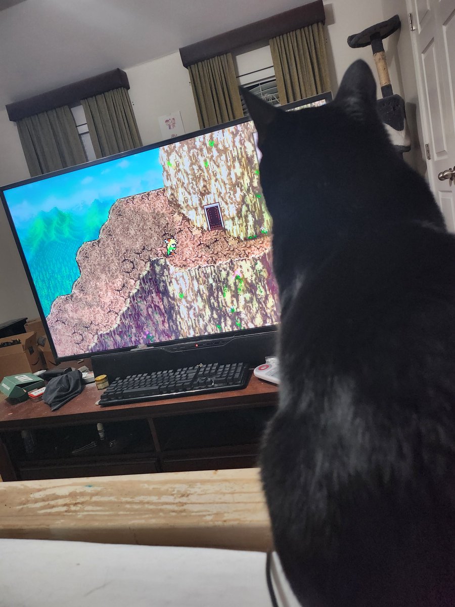 magedusted's tweet photo. Shh. He likes bards of the spoony kind... maybe? Lol. https://t.co/O937otC3ie