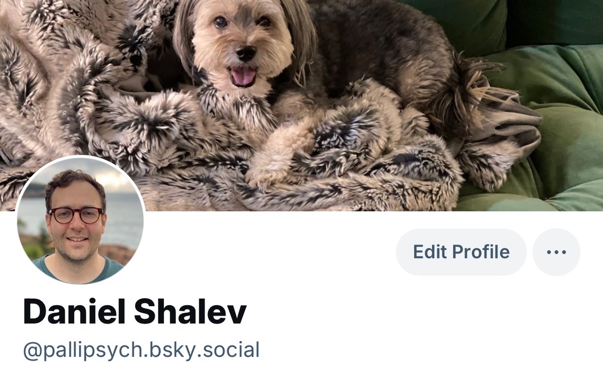 Daniel Shalev tweet media