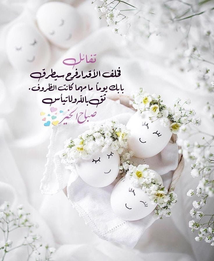 مريم البلوشي 💛 tweet media