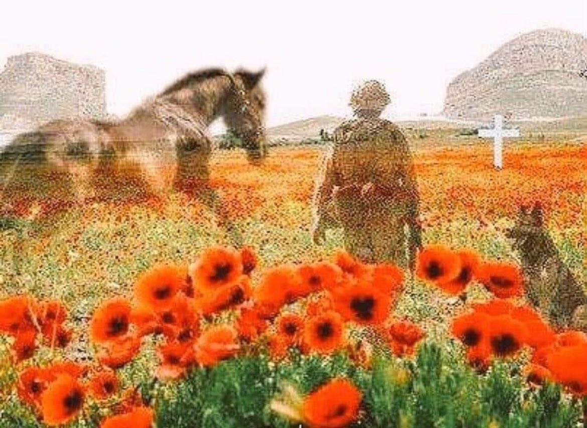 They shall grow not old, as we that are left grow old: 
Age shall not weary them, nor the years condemn 
At the going down of the sun and in the morning 
We will remember them #RemembanceDay