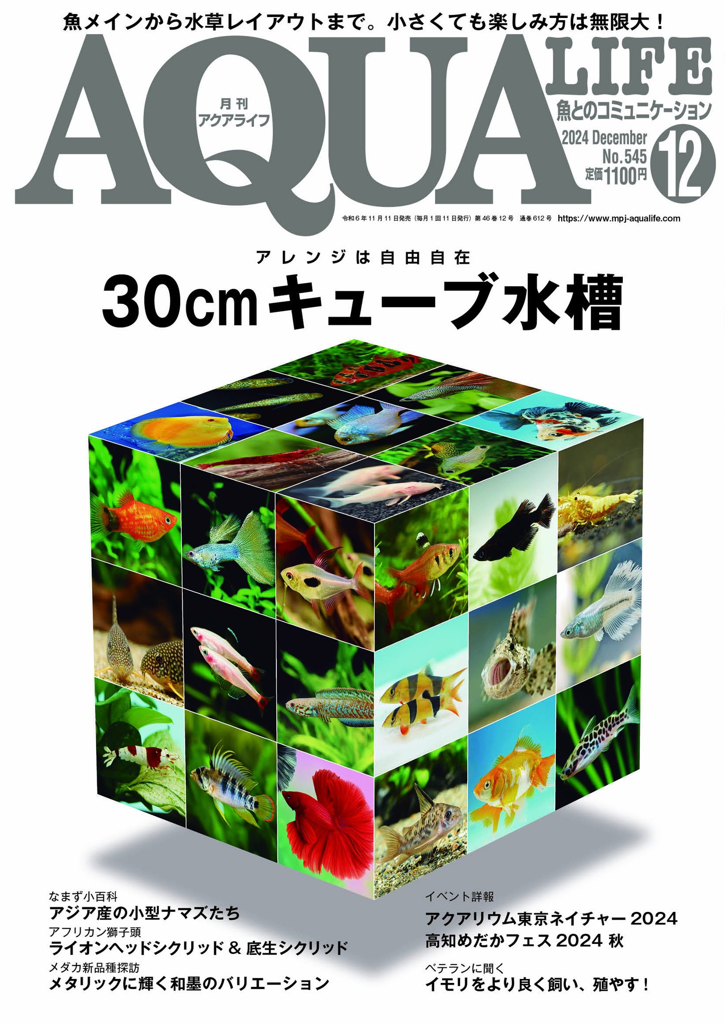 【専用】月刊アクアライフ 2011〜2014年1〜12（No.378〜425） アクアライフ 1月号 (発売日2024年12月11日) | 雑誌/電子書籍