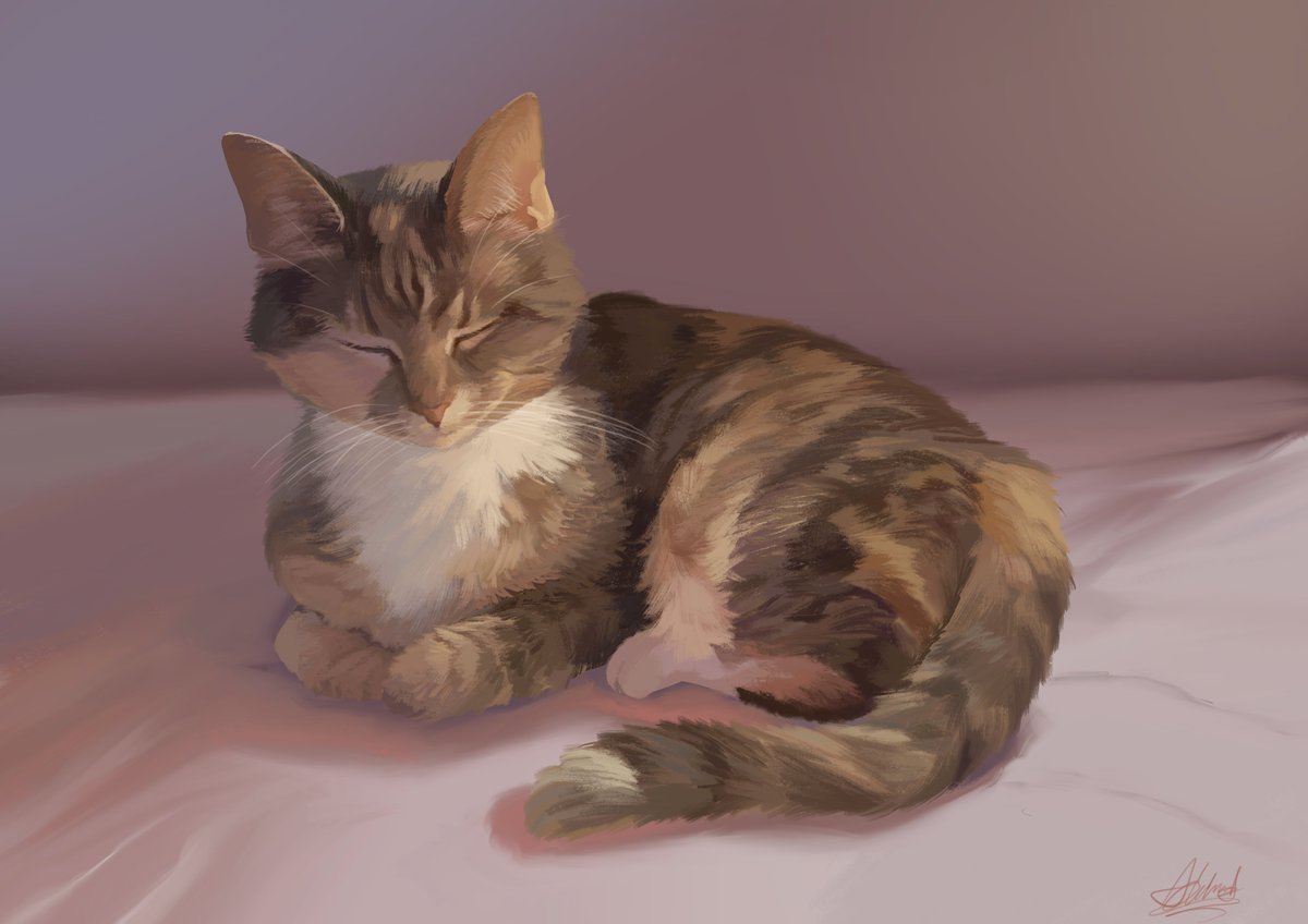 Rest in Peace my sweet baby Minu.  You were my best friend and companion for over 15 years, you were there for me through every hardship of my adult life, and you took such good care of me. This world feels so unfamiliar without you but I will carry on and keep loving you forever