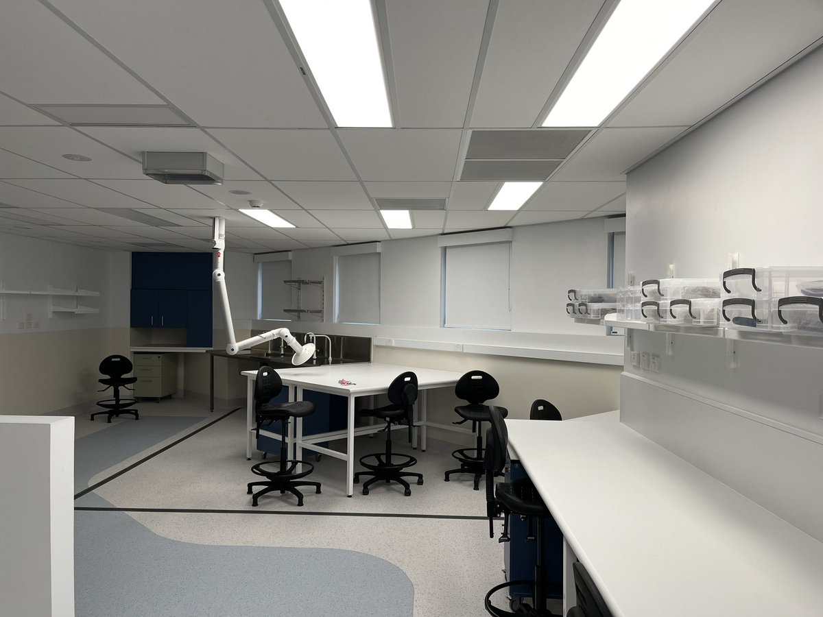 Michelle Langley (@dr_mclangley) on Twitter photo <a href="/ARCHE_Griffith/">Australian Research Centre for Human Evolution</a> has a new Archaeology lab! Still moving in, but already dreaming of all the archaeology that will get done by <a href="/Griffith_SciEnv/">Griffith Science & Environment</a> students and staff here! <a href="/ARCHE_Griffith/">Australian Research Centre for Human Evolution</a> has a new Archaeology lab! Still moving in, but already dreaming of all the archaeology that will get done by <a href="/Griffith_SciEnv/">Griffith Science & Environment</a> students and staff here!