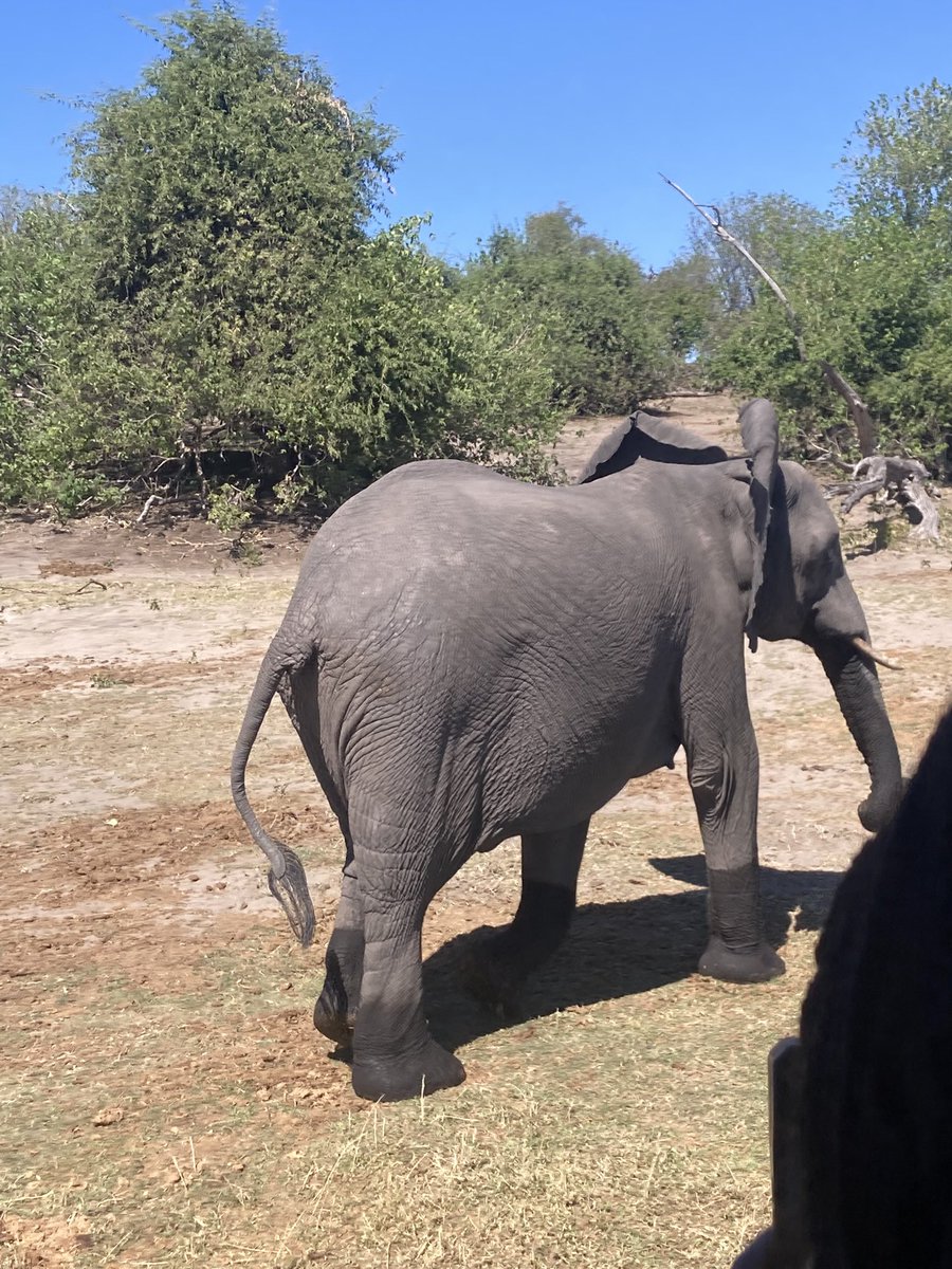 Se-MA UMA tweet media