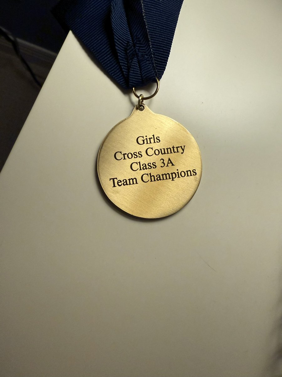 Illinois 3A State Champs 2024!! Barrington Fillies are #1 <a href="/NateLew61415437/">Nate Lewis</a> <a href="/abby_lewis26/">Abby Lewis</a> <a href="/Max_Lewis24/">MaxLewis</a> <a href="/BHS220Athletics/">BarringtonAthletics</a> <a href="/BHSGirlsTrackXC/">BHS Girls Track XC</a> <a href="/MrBartlettBSD/">Jim Bartlett</a>