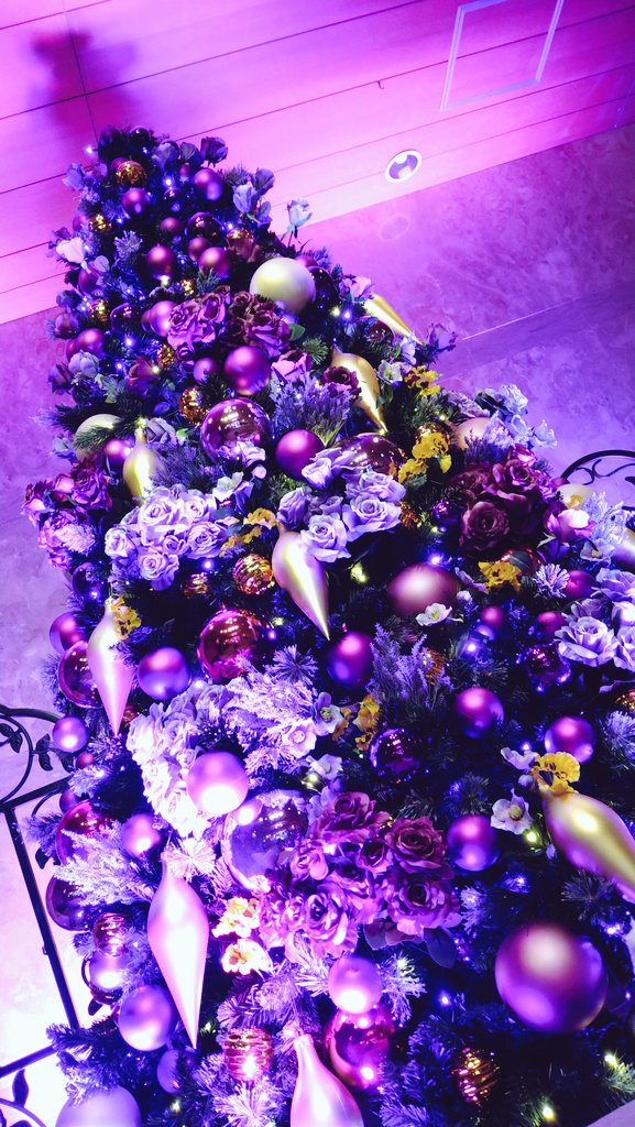 laforet_nas's tweet photo. ラフォーレ那須　通信🌟
ロビーにクリスマスツリー🎄登場
今年もロビーにクリスマスツリー🎄が登場しました🎅今年のクリスマスツリーも、ホテルの妖精さんが皆様に喜んでもらいたいと一生懸命飾りつけしました🤗
ホテルにお越しの際は是非！写真📸をパシャリ！ https://t.co/xhpRrtmvRR